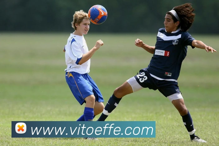 App 展示图
